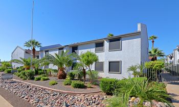 Desert landscaping